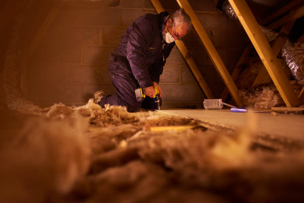Best Insulation Maintenance and Repair in Belville, NC